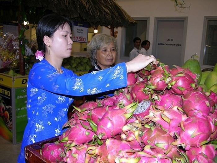 九龍江平原火龍果大豐收且價位較高，農民振奮不已。
