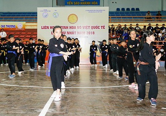 越南傳統武術表演。