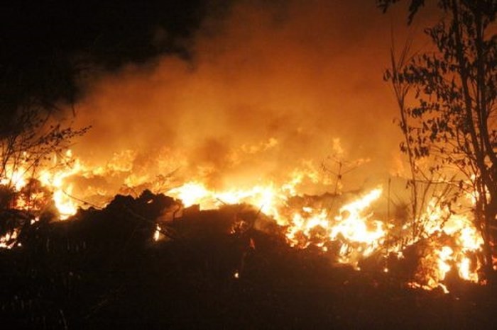 美萩市７住房付諸一炬 ảnh 1