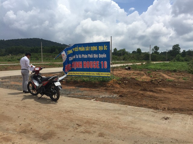 繞洋東市鎮沿路掛牌出售的劃分地皮。(圖源:N.Triều)