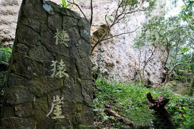 墾丁森林公園(上) ảnh 1 墾丁森林公園(上) ảnh 1
