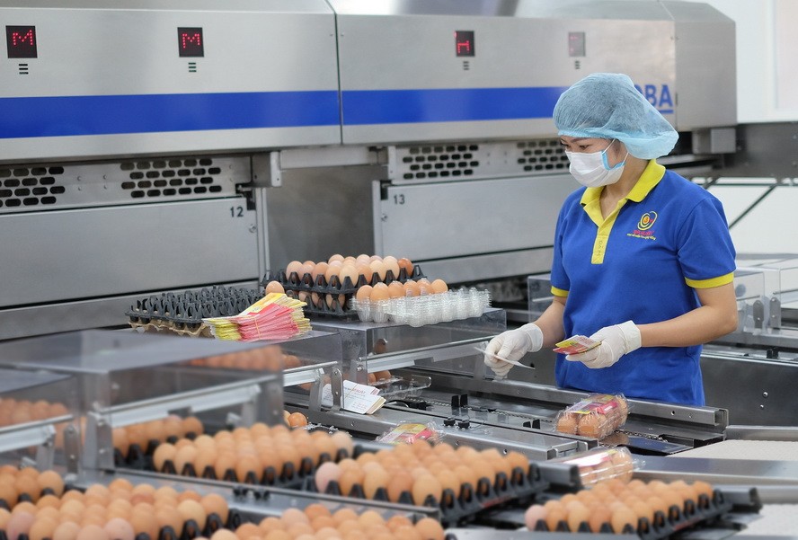 各企業積極準備與國際深化接軌。