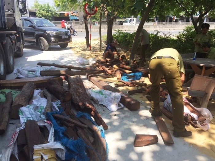 被扣押的來源不明之紅酸枝。（圖源：三清）