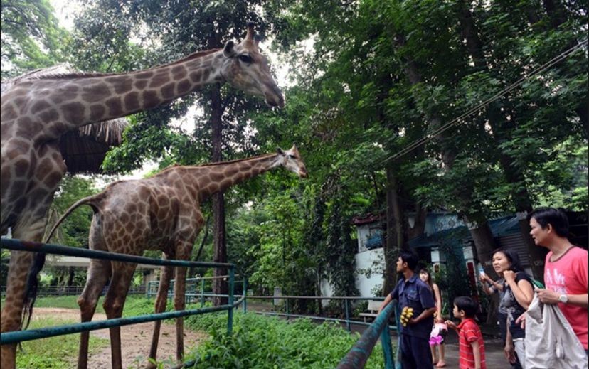 西貢動物園 —— 市民假日好去處 ảnh 2 西貢動物園 —— 市民假日好去處 ảnh 2