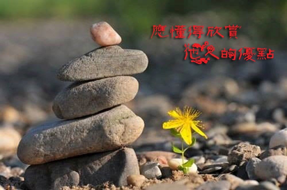 應懂得欣賞他人的優點