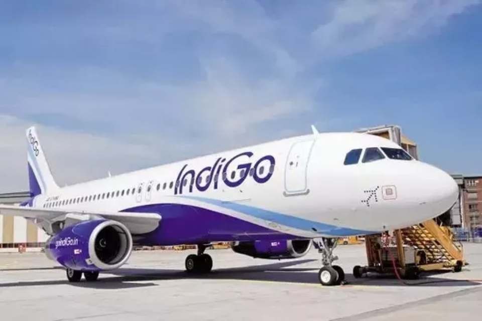 圖為印度靛藍航空(IndiGo Airlines)客機一瞥。(圖源:互聯網)