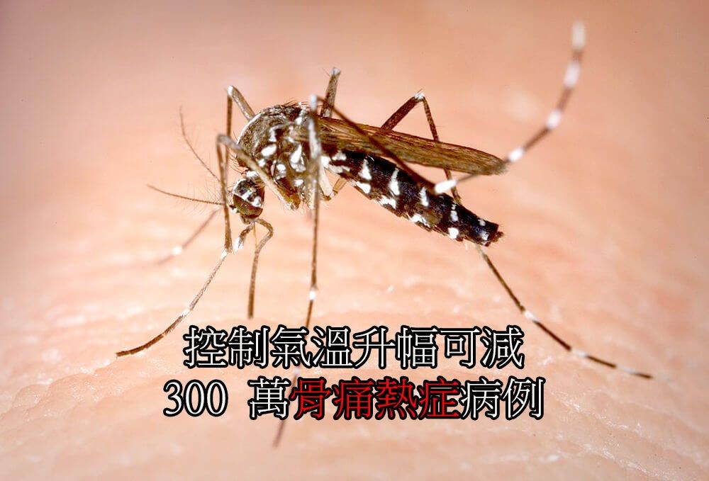 控制氣溫升幅可減 300 萬骨痛熱症病例 。(示意圖源:互聯網)