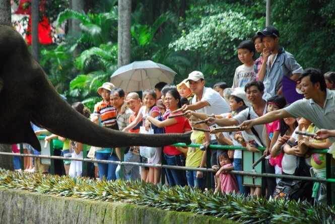 讓孩子有個充實愉快的夏令活動 ảnh 1
