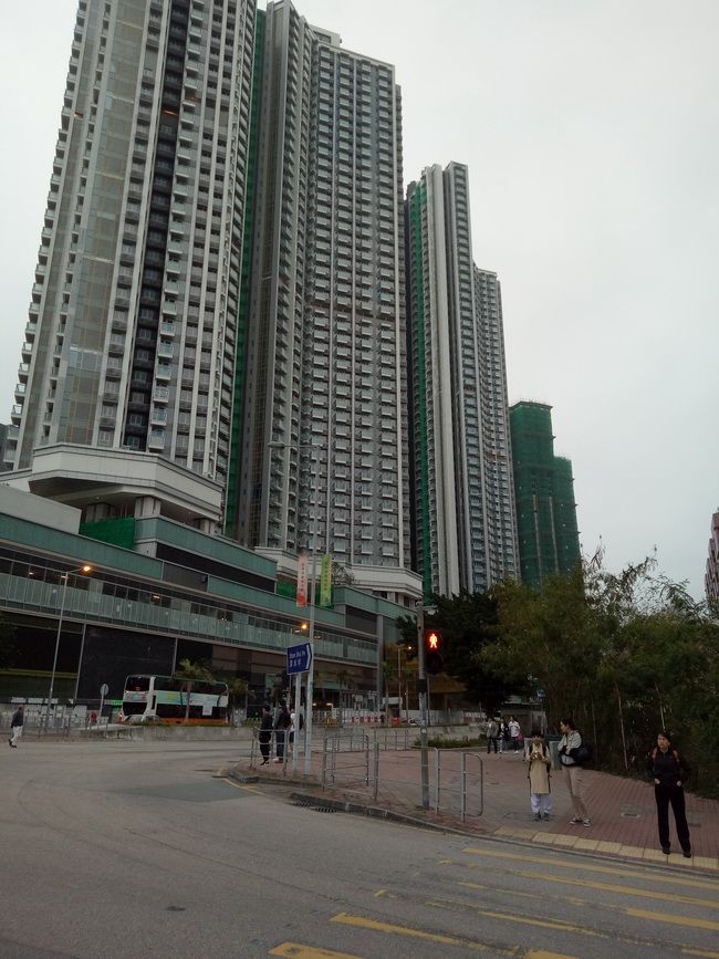 馬路上沒有車輛，但是行人依 然遵守交通指示燈號。