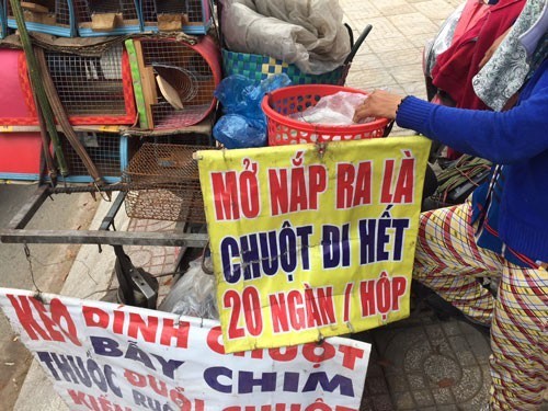 滅鼠劑在本市的多條街上都有售賣。