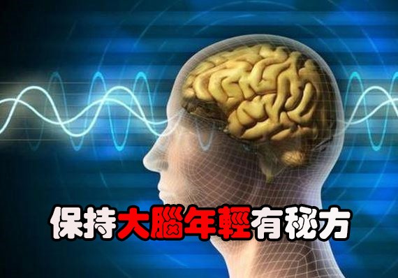 保持大腦年輕有秘方(下)