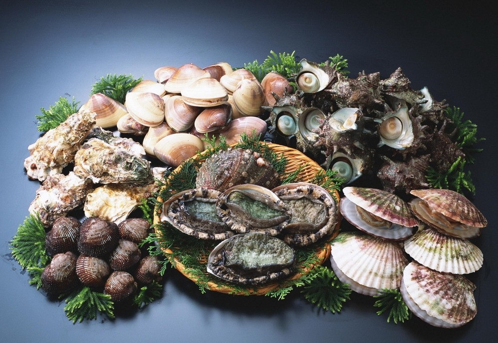 貝類食物怎樣吃健康又美味。（示意圖源：互聯網）