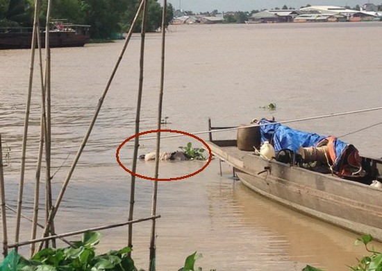 死者屍體浮出水面上。（圖源：市公安報）