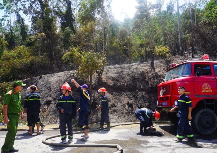峴港市消防隊趕抵現場滅火。（圖源：甲湖）