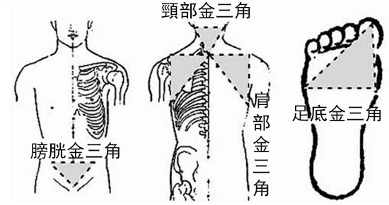 （示意圖源：互聯網）