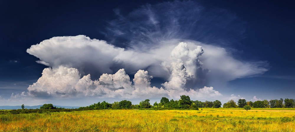 世界氣象組織表示，今年六七月份，北半球經歷了大規模降雨和持續高溫等極端天氣。（圖源：世界氣象組織）