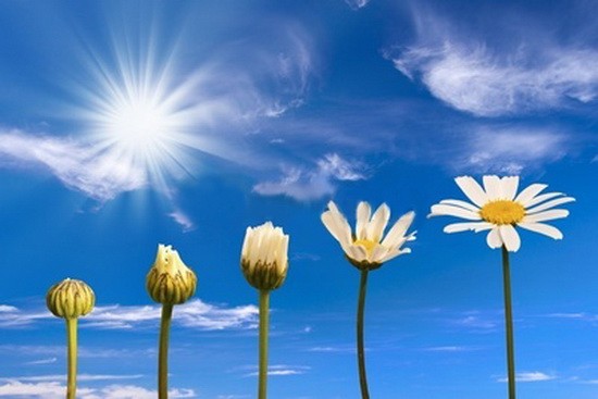 （示意圖源：互聯網）