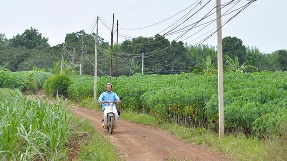 按計劃將建設機場的簍泉鄉區域至今仍是恬靜的鄉野。
