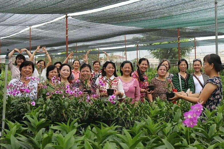 第六郡婦女代表團參觀福門縣無公害菜園。