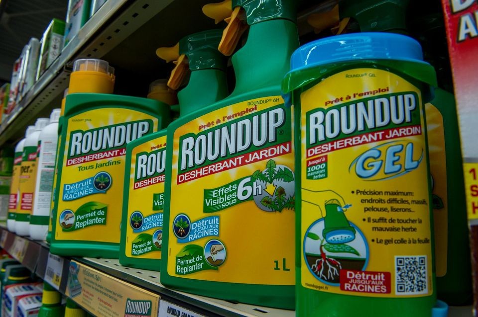 孟山都公司(Monsanto)的產品“年年春”(Roundup)除草劑。(圖源:AFP)