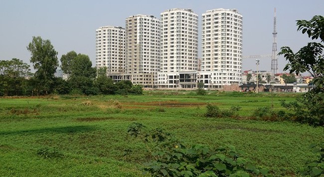 本市土地的補償、輔助和安置有了新規定。(示意圖源:互聯網)