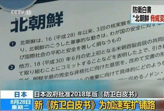 日本防衛相小野寺五典28日在內閣會議上報告了2018年版《防衛白皮書》。(圖源:CCTV視頻截圖)