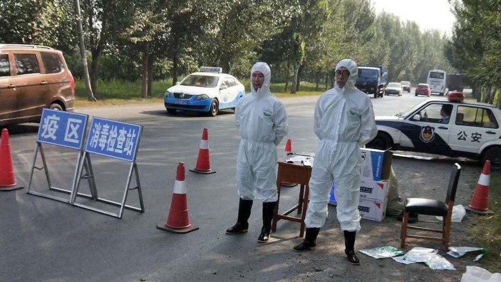 中國暴發非洲豬瘟病毒。(圖源:互聯網)