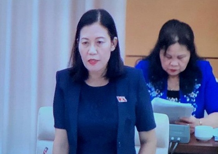 國會司法委員會主任黎氏娥在會議上發言。（圖源：秋姮）