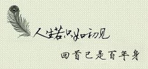 回眸已晚
