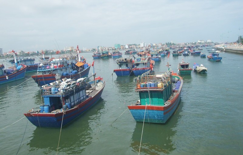 政府副總理視察６號颱風應對工作 ảnh 1