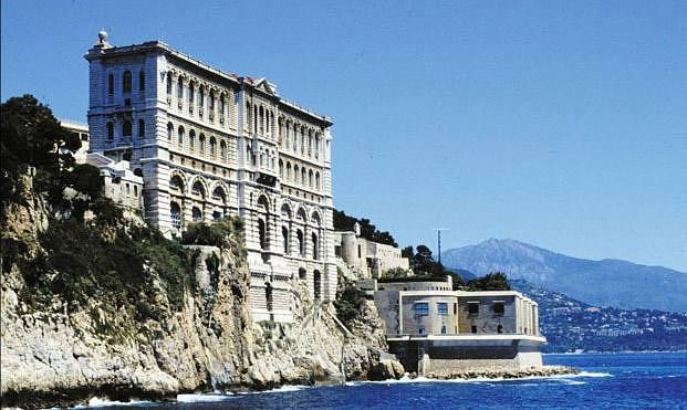 建造在岩石上的摩納哥海洋博物館。