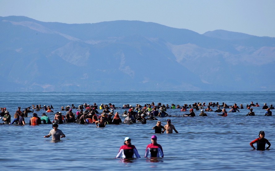 新西蘭向遊客徵收旅遊稅。圖為新西蘭黃金海灣。（圖源：路透社）