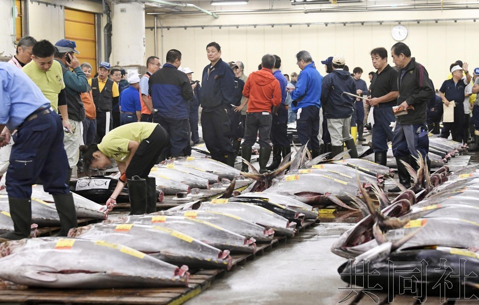 築地市場最後拍賣，金槍魚以3.86萬美元成交。（圖源：共同社）