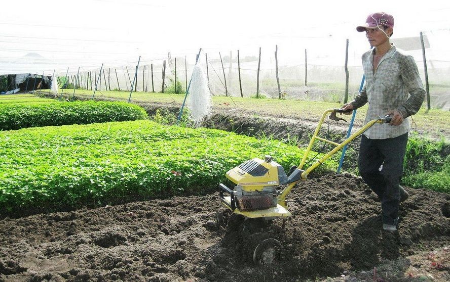 本市鼓勵農民、自由業者參加自願性社保以領退休金。