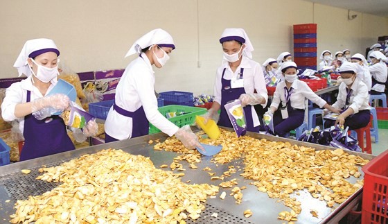 菠蘿蜜乾加工出口。