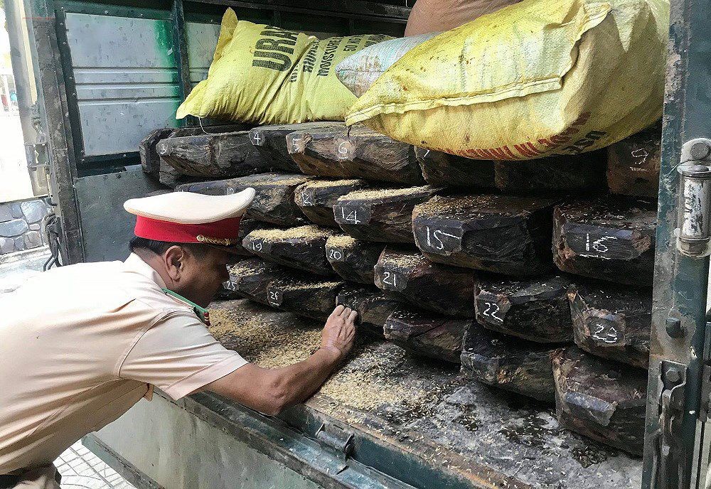 被查獲的木材。（圖源：VOV）