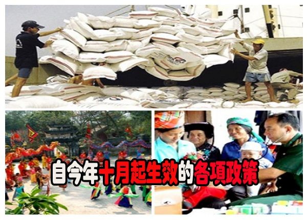 自今年十月起生效的各項政策（下）