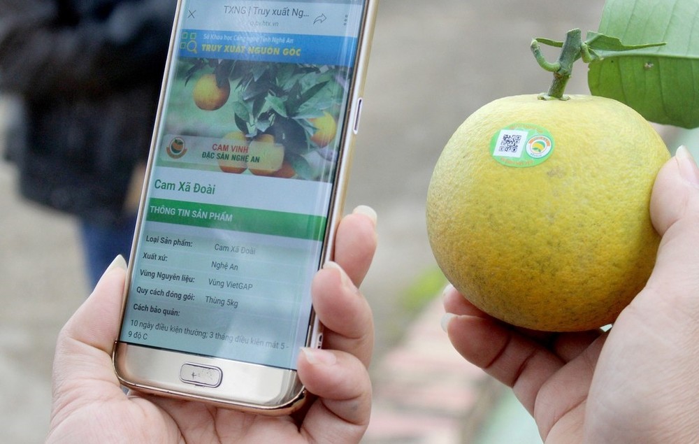 榮市橙子可追溯來源。（圖源：春煌）