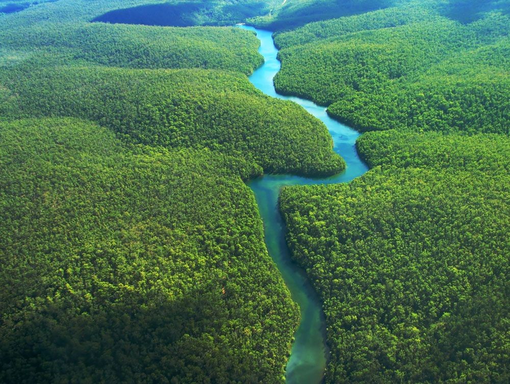 最新報告：自2000年以來，秘魯共損失了200萬公頃的原始森林。圖為亞馬遜熱帶雨林空照一瞥。（圖源：互聯網）