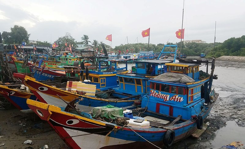 芹耶縣漁船回岸避風。（圖源：黎叉）