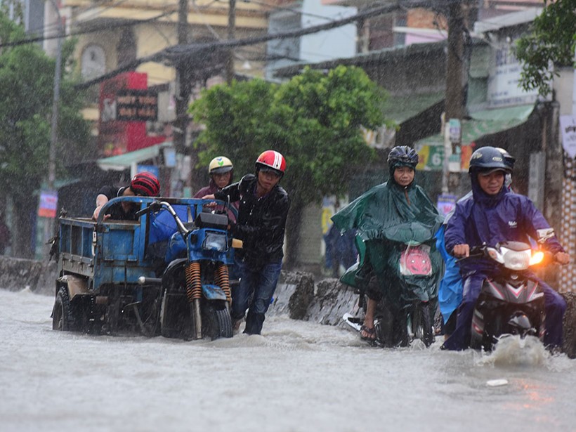 本市大面積變成澤國 ảnh 1