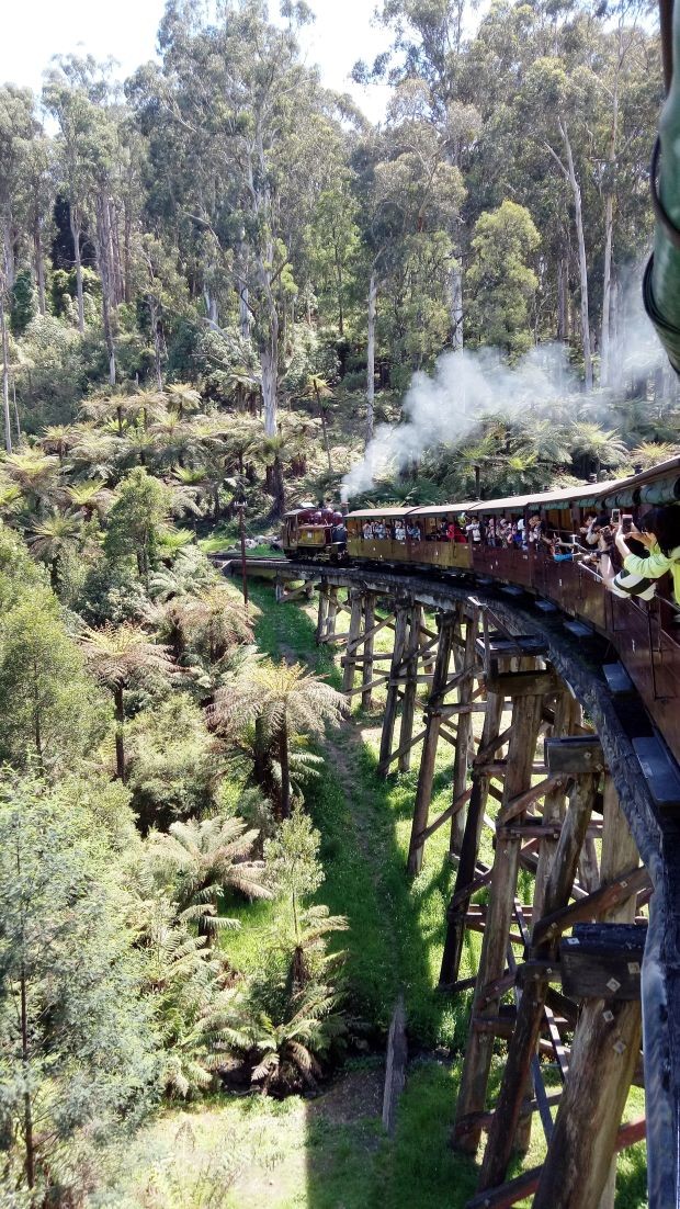 重洋以外的美麗國度 ảnh 1