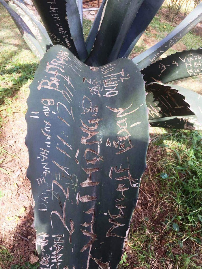 遊客亂寫亂畫　管理員苦不堪言 ảnh 2