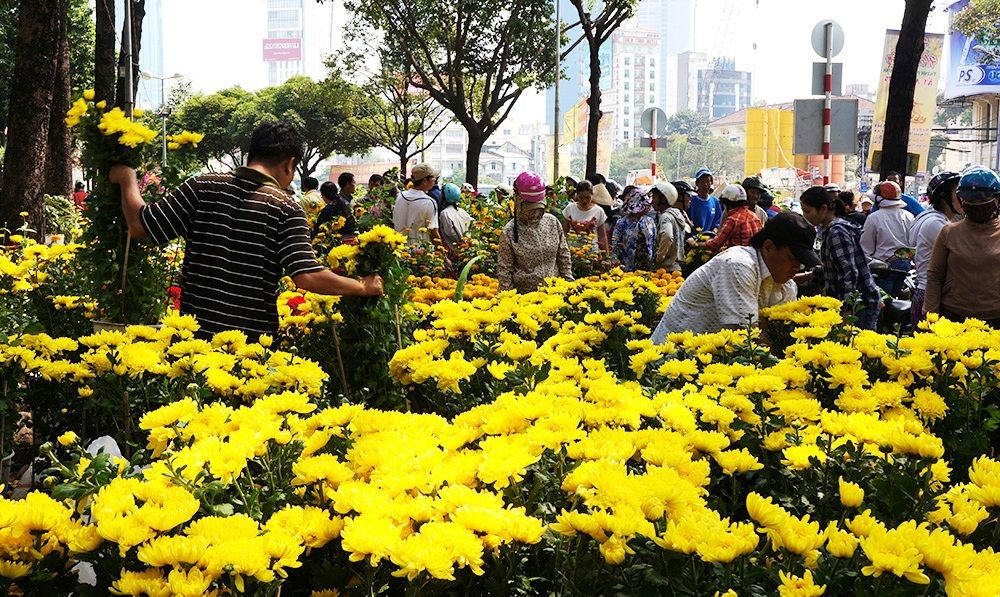 估計己亥年春節，本市將銷售約60萬至70萬盆梅花，25萬至30萬盆裁與盆景、1億3500萬棵各類菊、玫瑰、吉祥、百合、康乃馨等花。（示意圖源：互聯網）