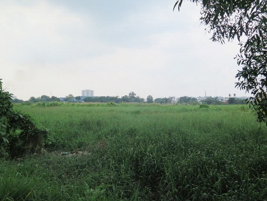 16年後的項目全景。