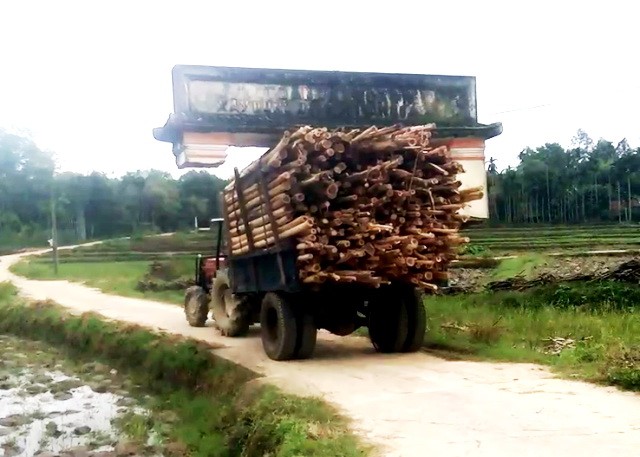 儘管牌坊卡在車上，司機仍不知曉並開車駛了較遠一段路才停下來。（圖源：民智）