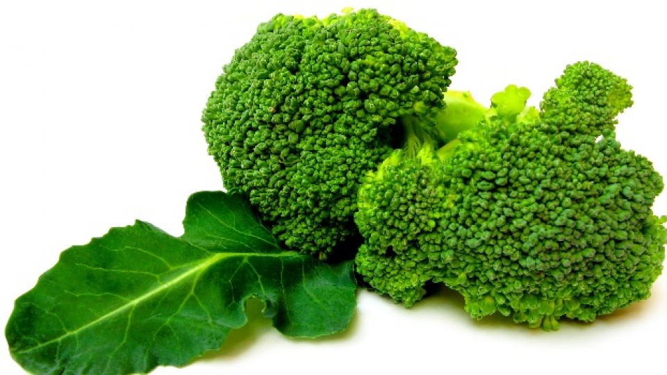 （示意圖源：互聯網）