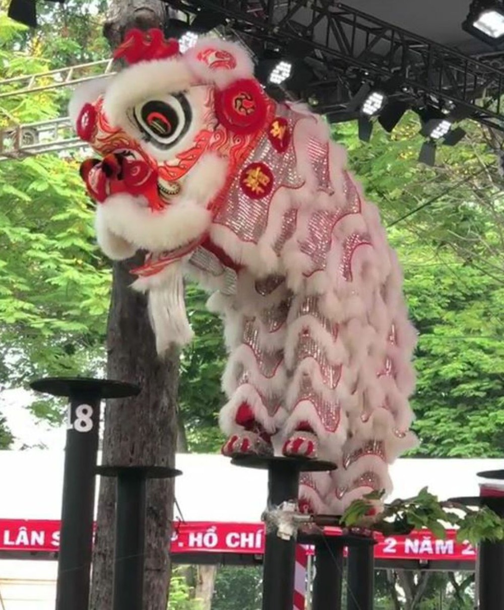 精英堂以“南獅採靈芝”節目奪得“醒獅梅花樁”一等獎。