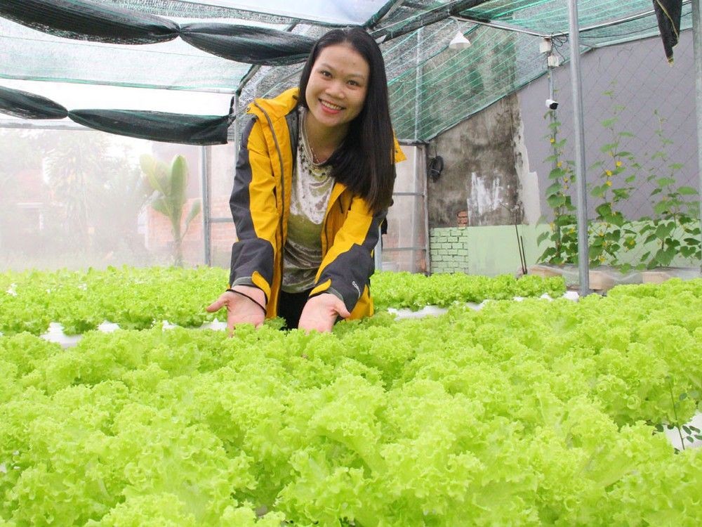 阮氏依的水耕蔬菜園。