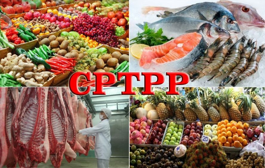CPTPP 協定與我國企業的商機。(示意圖源:田升)